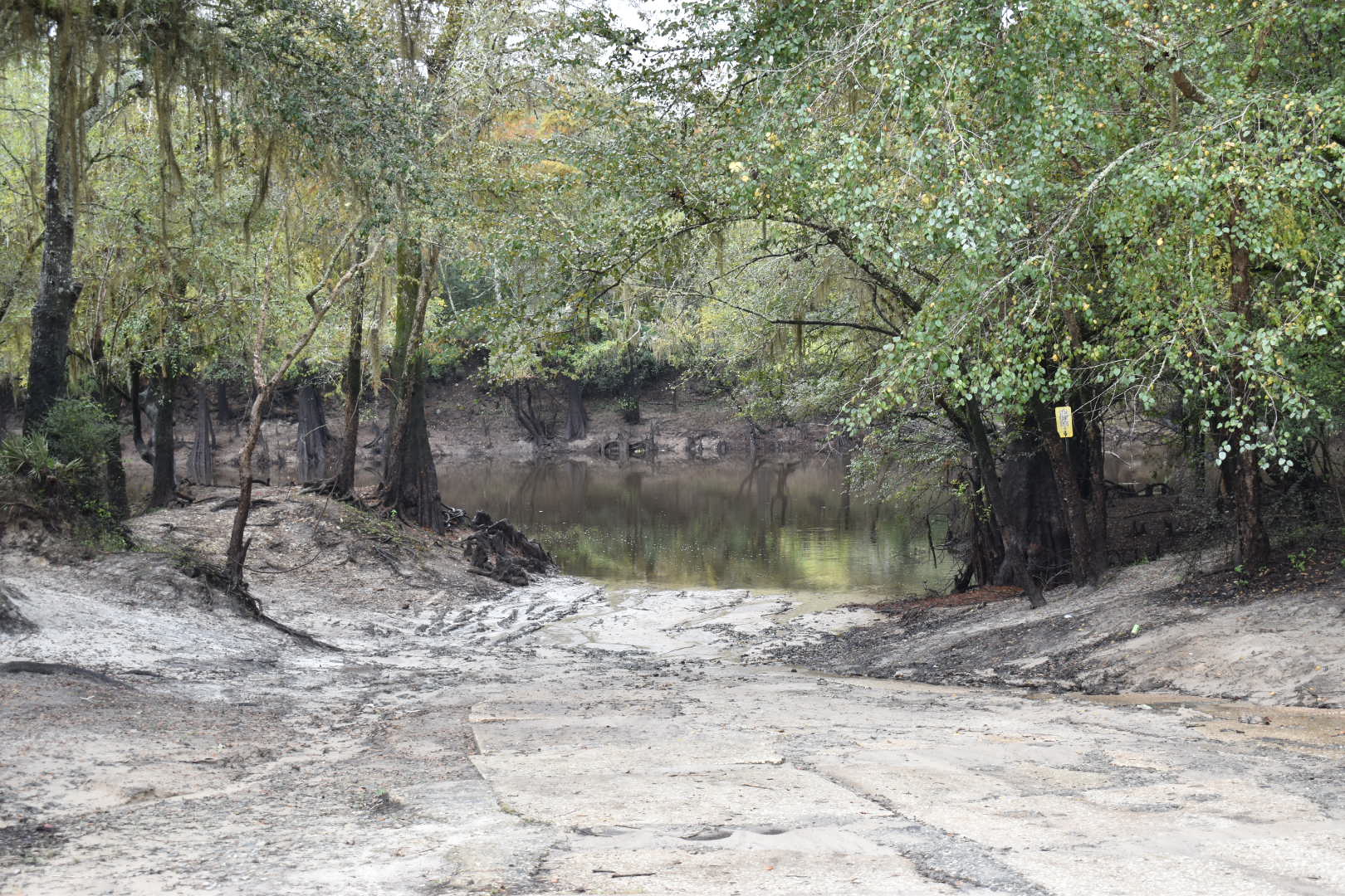 Knights Ferry Boat Ramp, Withlacoochee River @ 2021-10-28