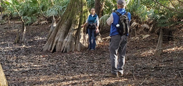 [Dottie likes this cypress, 14:58:13, 30.5846535, -83.0475477]