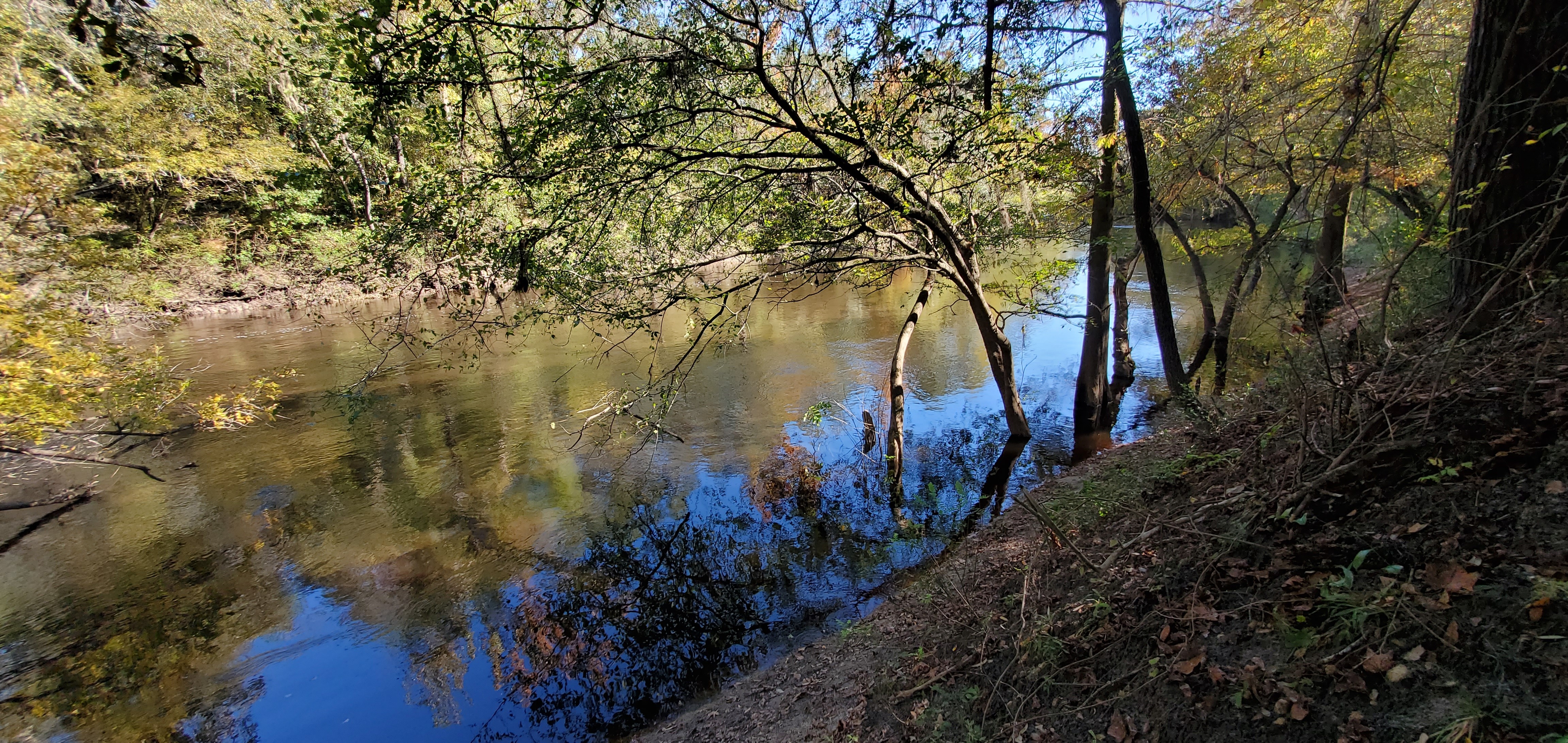 Downstream, Alapaha River, 14:00:33, 30.5798772, -83.0391141