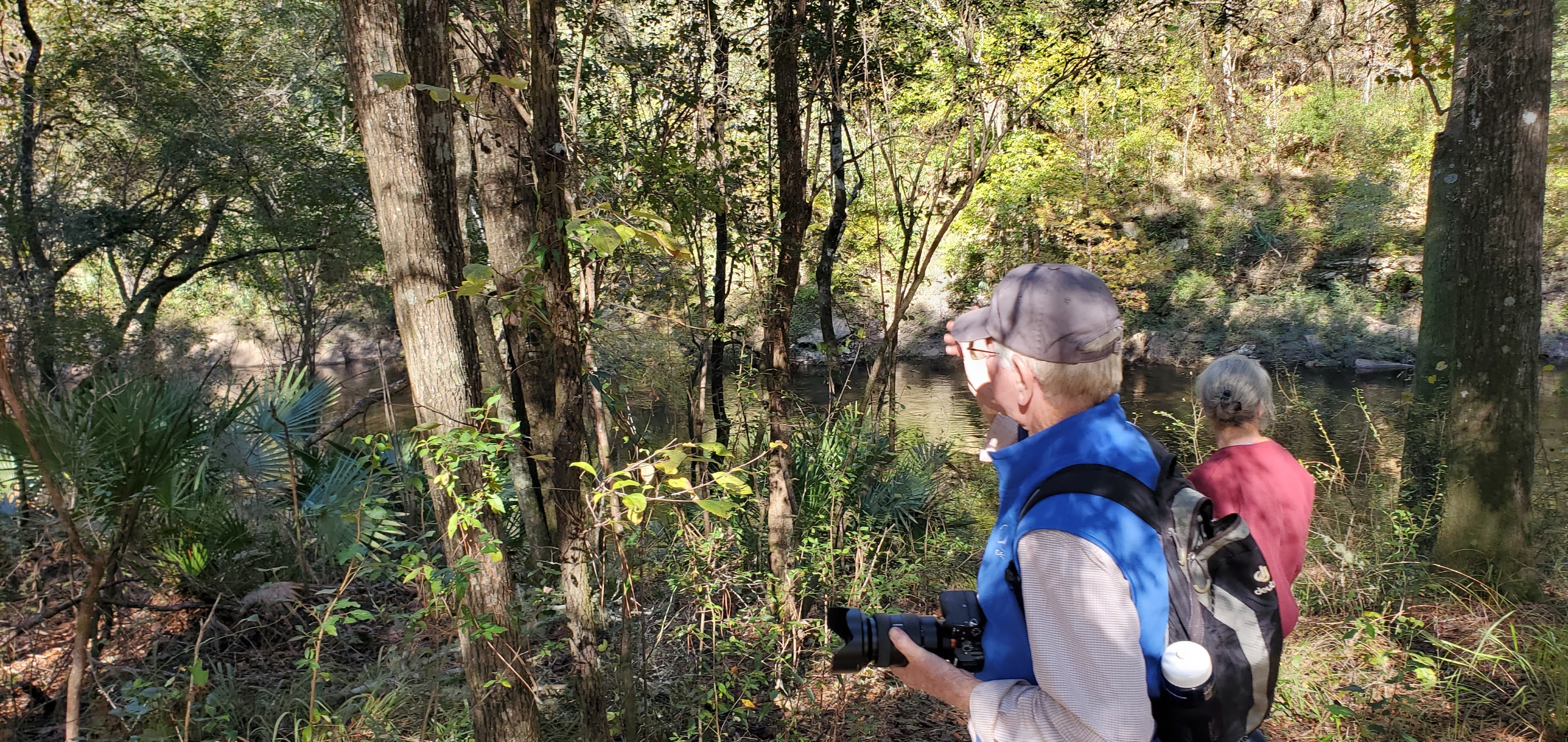 Limestone banks of the Alapaha River, 14:49:39, 30.5846132, -83.0456168