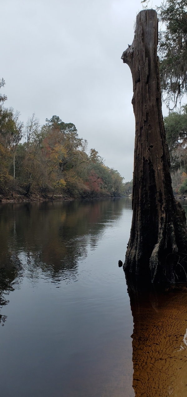 [Gibson Park Ramp, Suwannee River @ CR 751 2021-12-05]