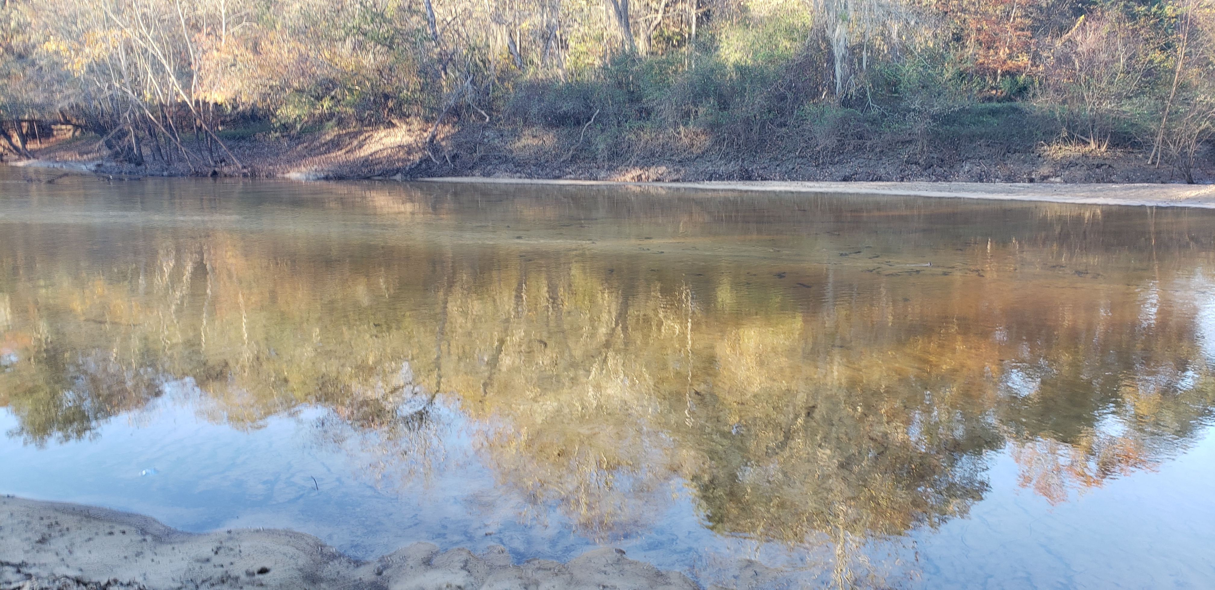 Folsom Bridge Landing, Little River @ GA 122 2021-12-02