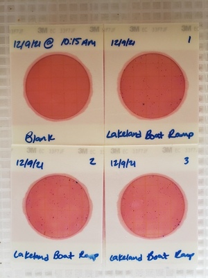 [Plates, Lakeland Boat Ramp 2021-12-03]