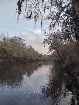 [Cleary Bluff, Withlacoochee River @ NE Withla Bluffs Way 2021-12-29]