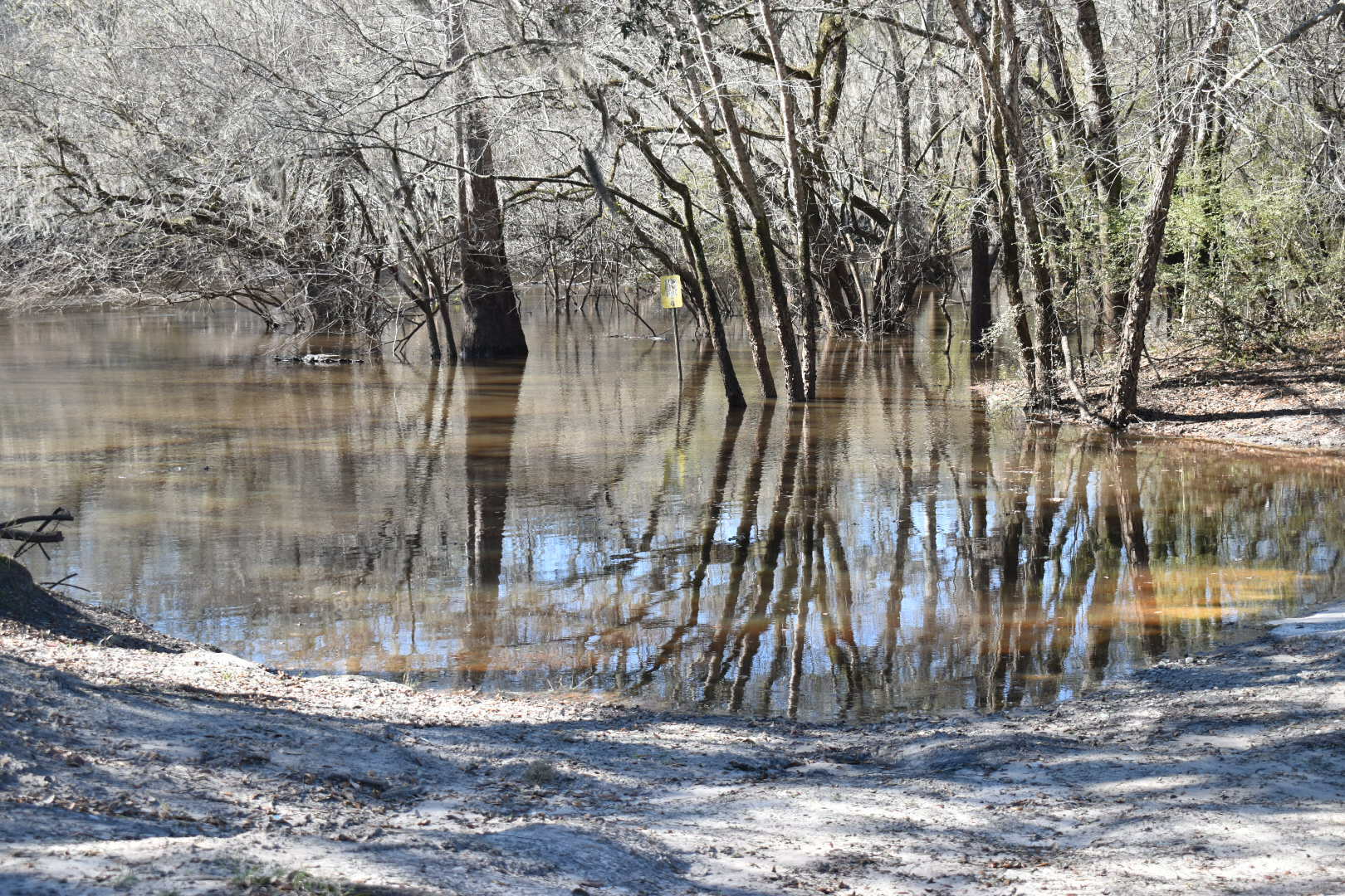 Knights Ferry Boat Ramp Water Level, Withlacoochee River 2022-01-06