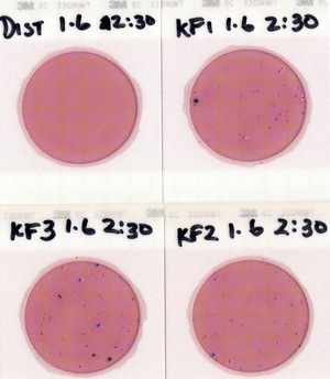 [Plates, Knights Ferry Boat Ramp 2022-01-06]