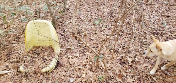 [Yellow Child Chair and Blondie, 09:49:42, 30.8496310, -83.3460330]