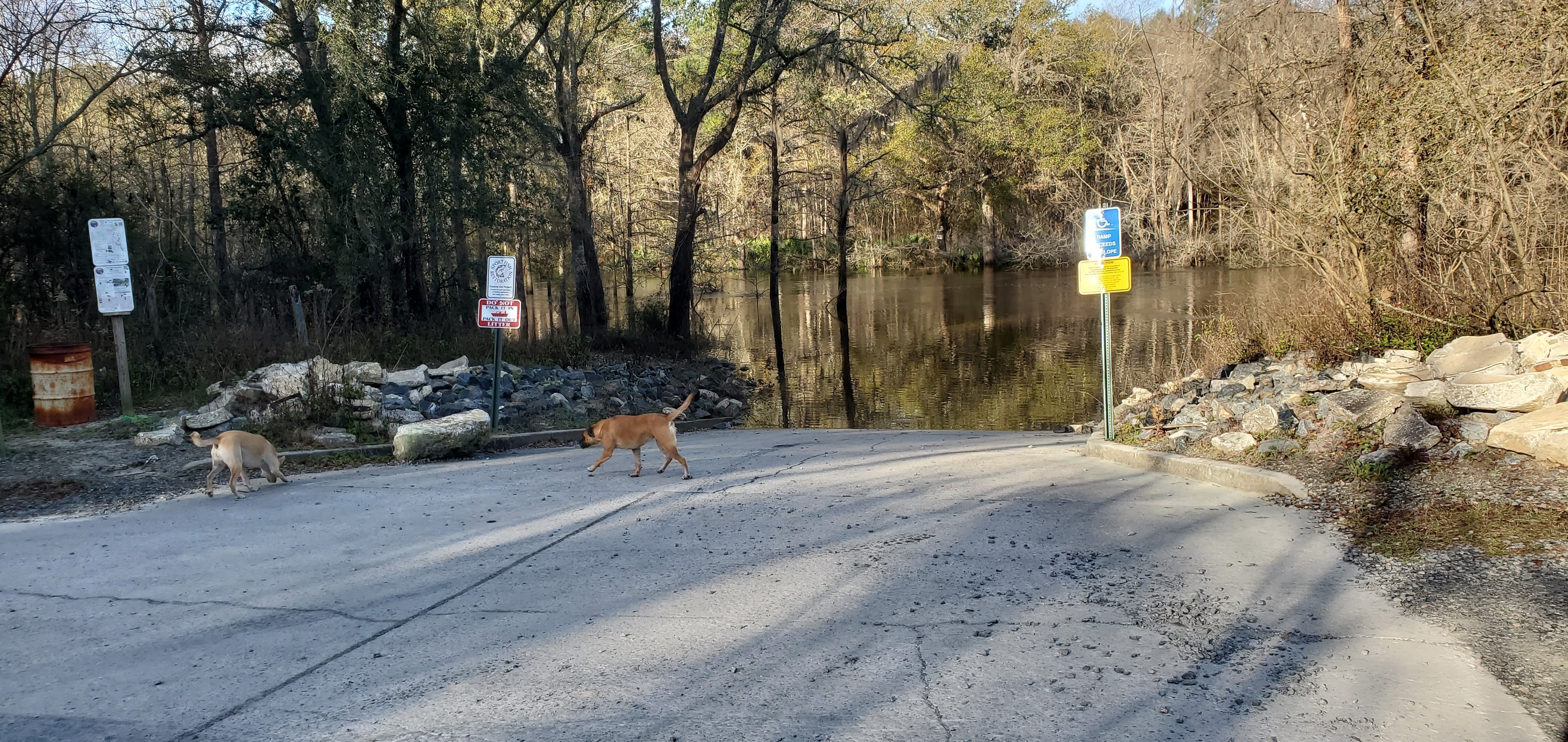 Troupville Boat Ramp, 09:14:13, 30.8513591, -83.3471554