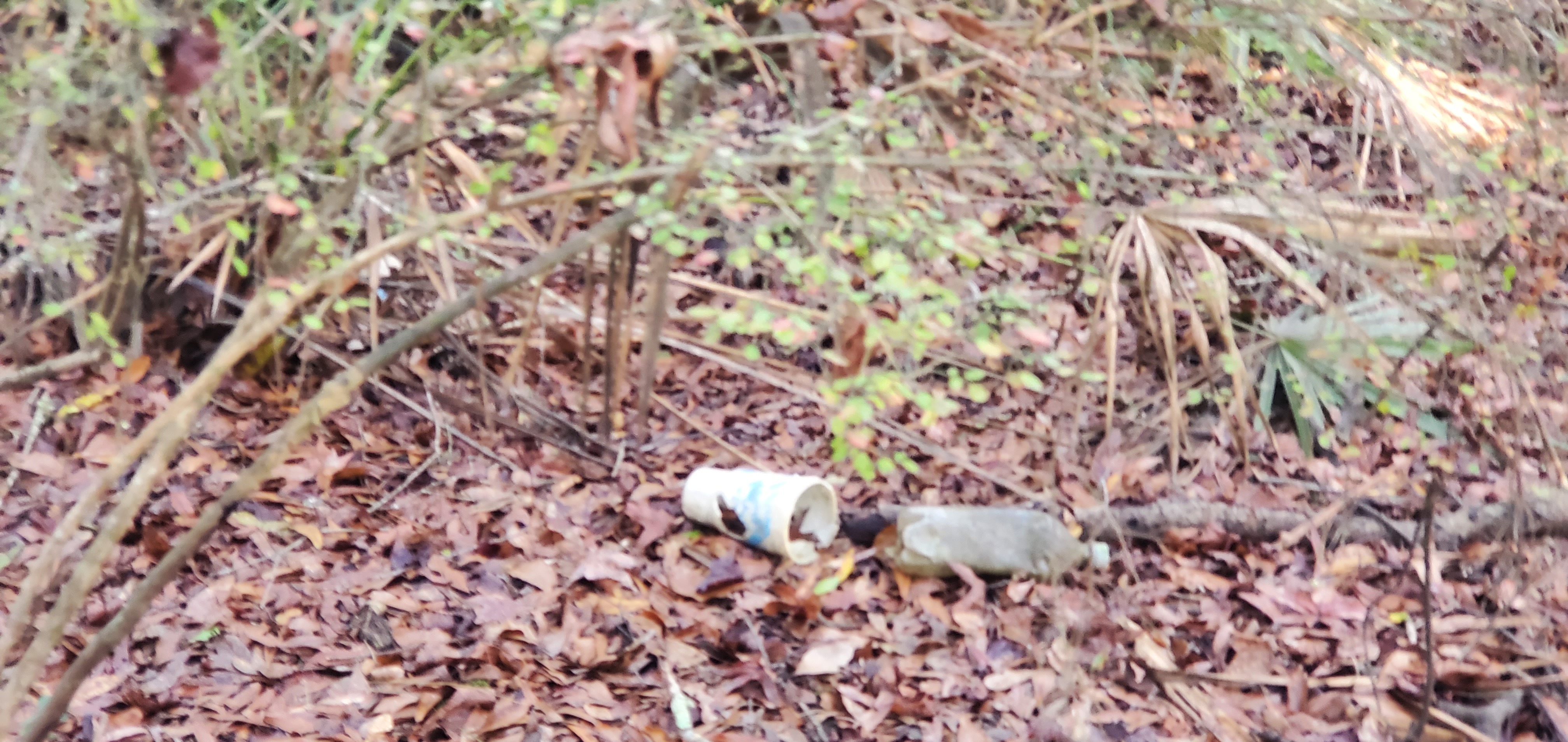 Styrofoam cup, plastic bottle, 09:40:25, 30.8483990, -83.3446585