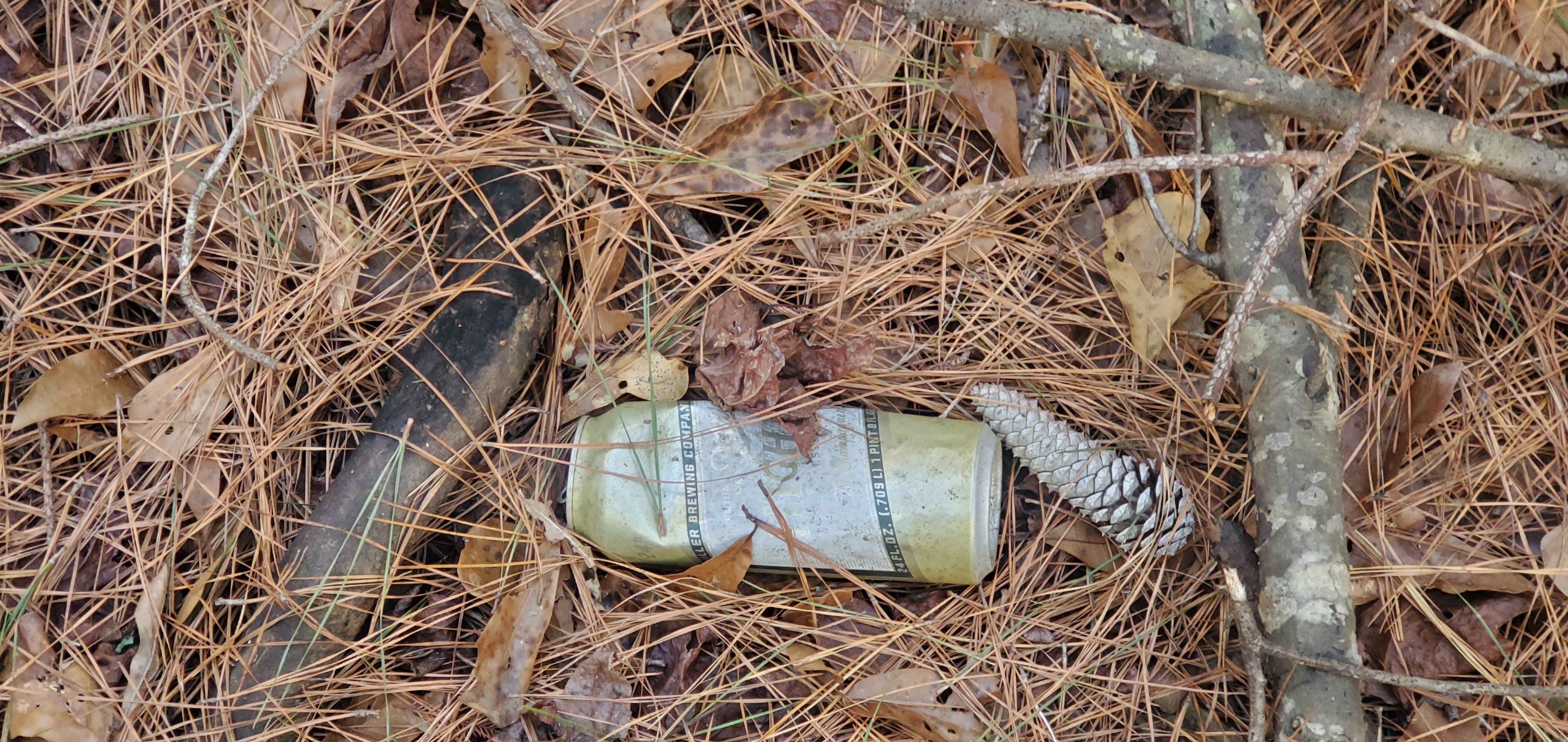 Beer can, 09:47:51, 30.8493955, -83.3459953