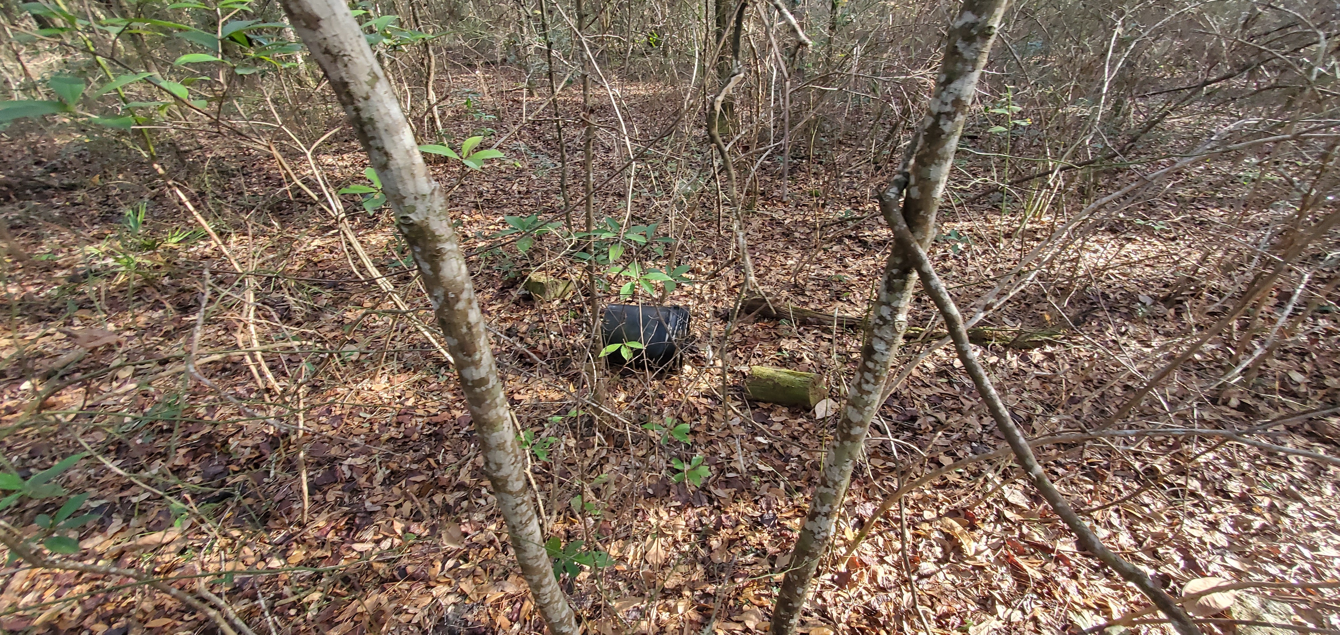 Black bucket and log, 09:51:35, 30.8497931, -83.3459146