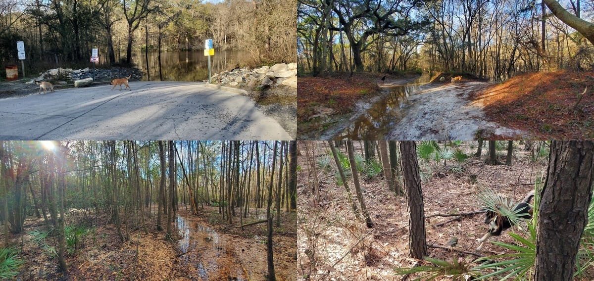 [Collage, Troupville River Park site, 2022-01-20]