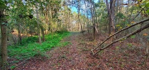 [Old gate posts, 09:21:51, 30.8499697, -83.3461558]