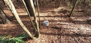 [Plastic bag of trash, 09:45:53, 30.8488217, -83.3459621]