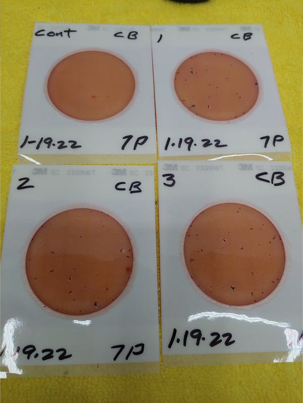 Plates, Cleary Bluff 2022-01-19