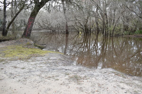 Knights Ferry Boat Ramp Water Level, Withlacoochee River 2022-01-20