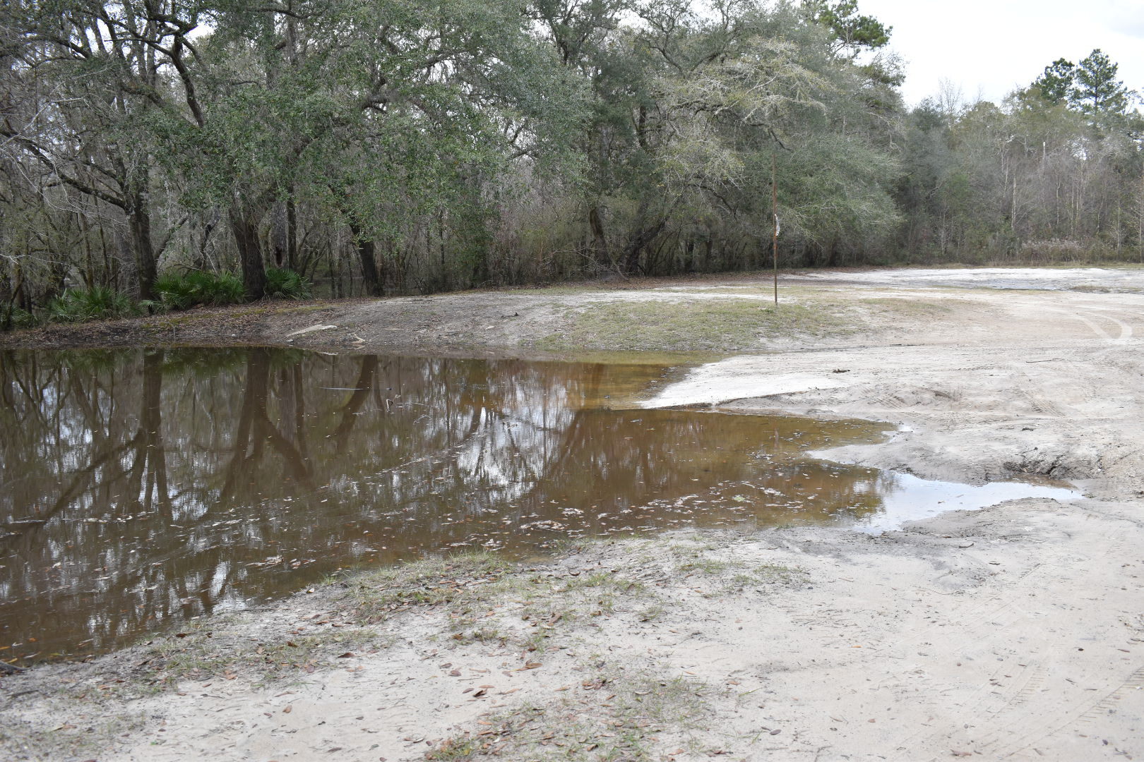 Knights Ferry Boat Ramp, Withlacoochee River 2022-01-20