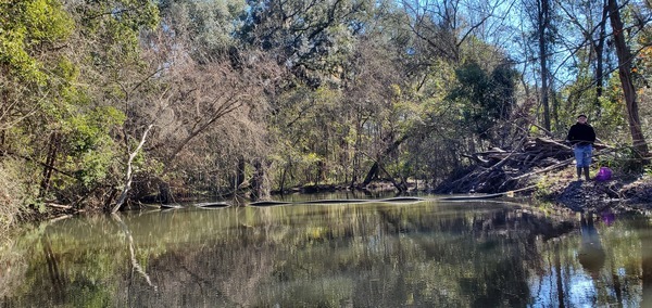 Boom across Sugar Creek, 12:12:24, 30.8625878, -83.3187734