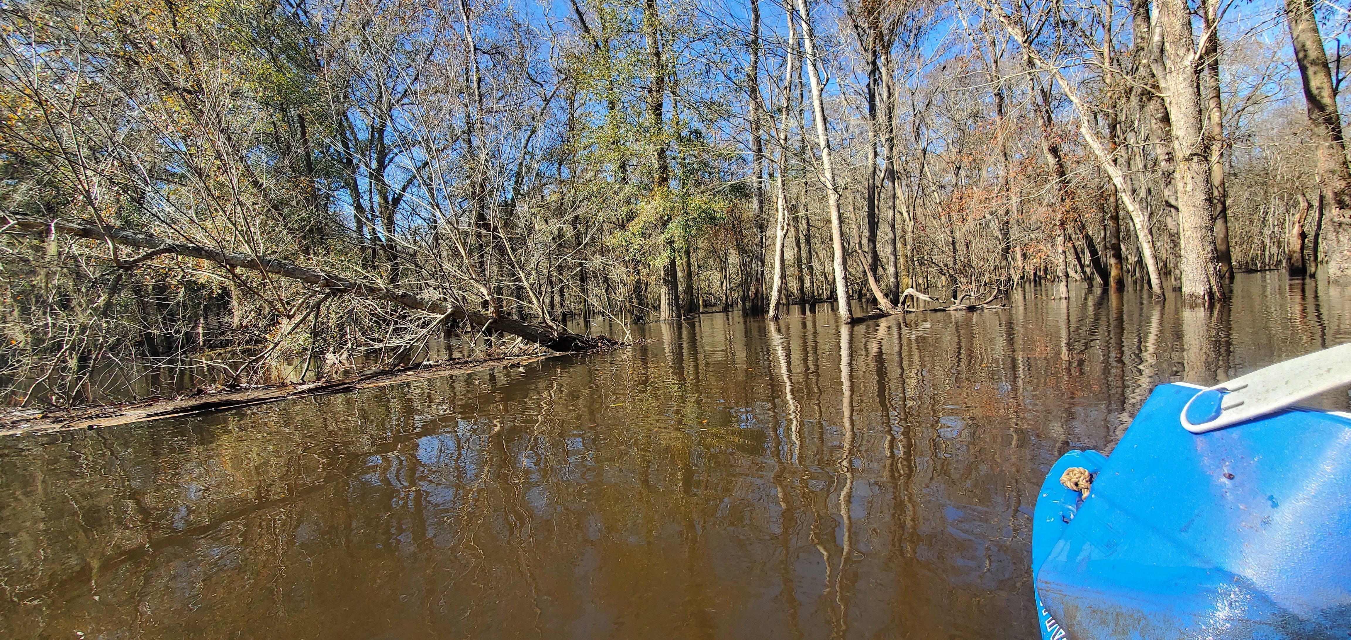 Trash already washed downstream, 12:06:34, 30.8641817, -83.3199090