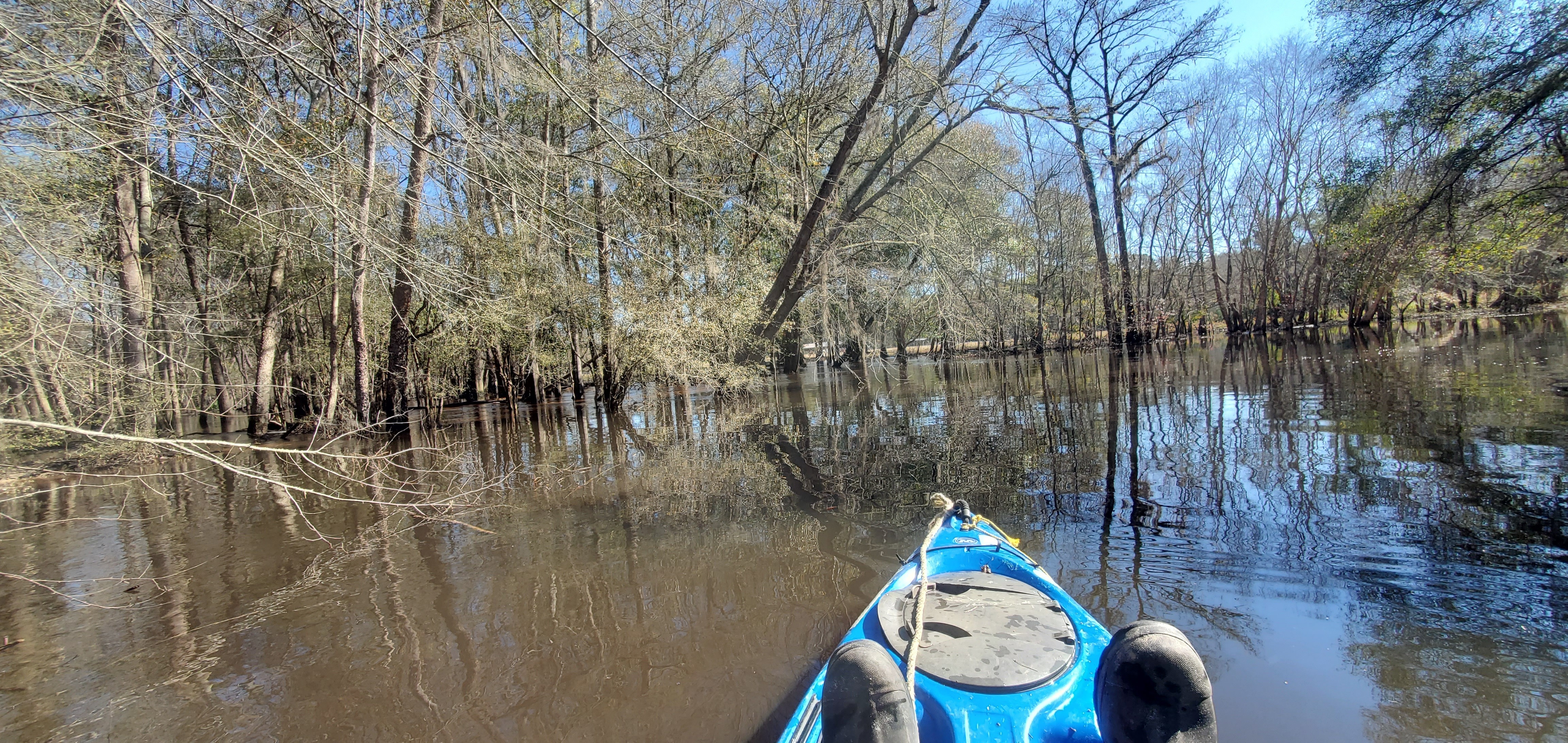 Water quite high into pasture, 12:06:37, 30.8641817, -83.3199090