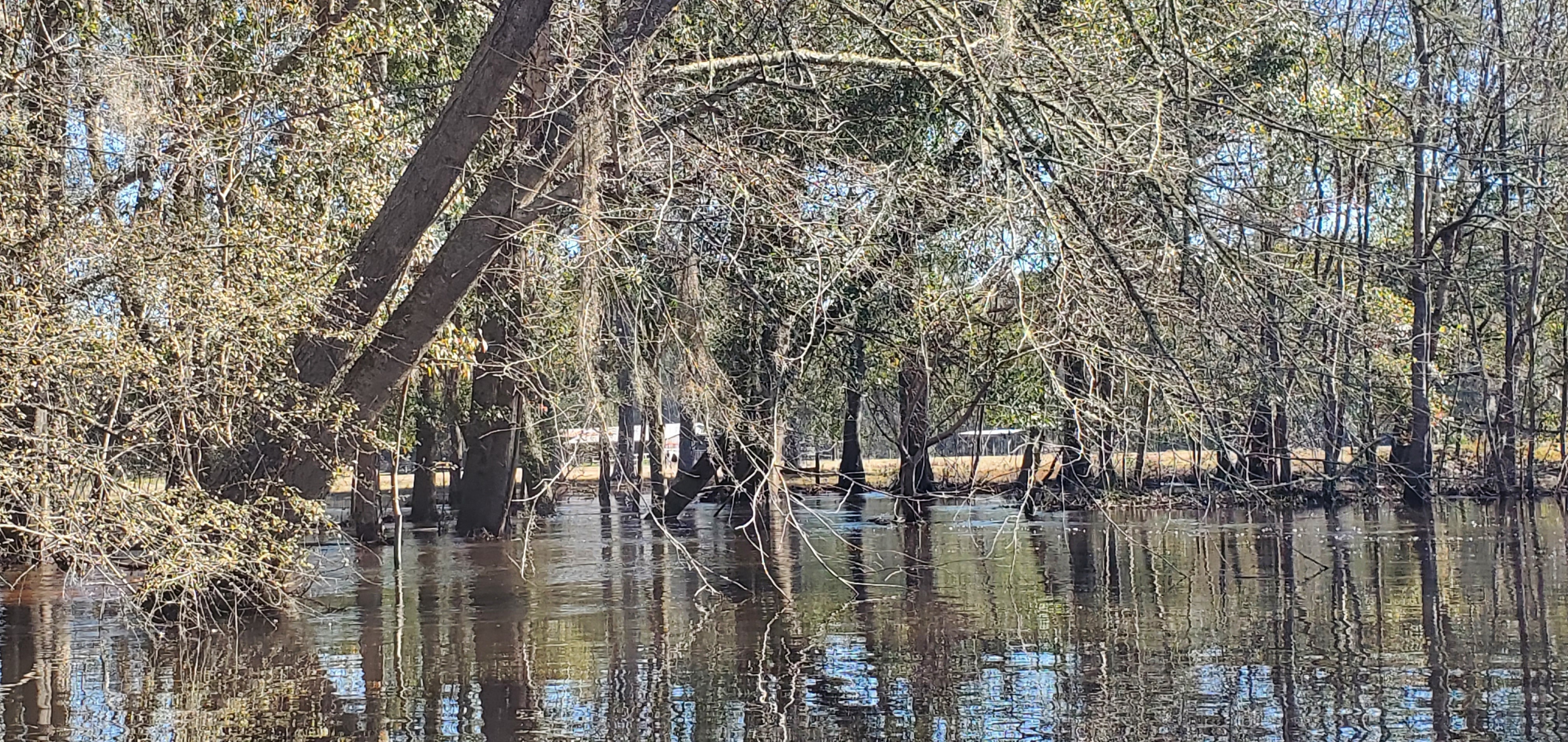 River flowing in front of horse barn, 12:06:45, 30.8641817, -83.3199090