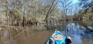 [Water quite high into pasture, 12:06:37, 30.8641817, -83.3199090]