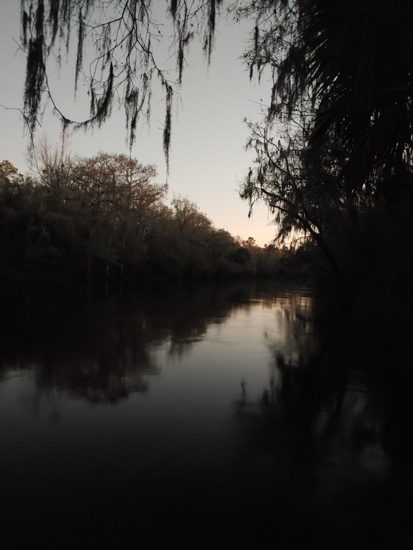 [Cleary Bluff, Withlacoochee River @ NE Withla Bluffs Way 2022-01-26]