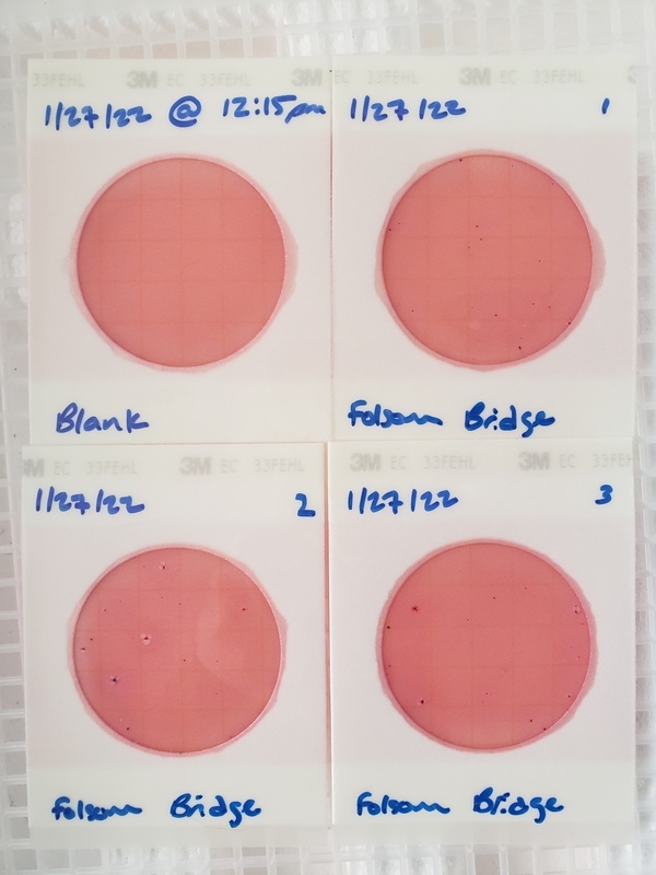 [Plates, Folsom Bridge Landing 2022-01-27]