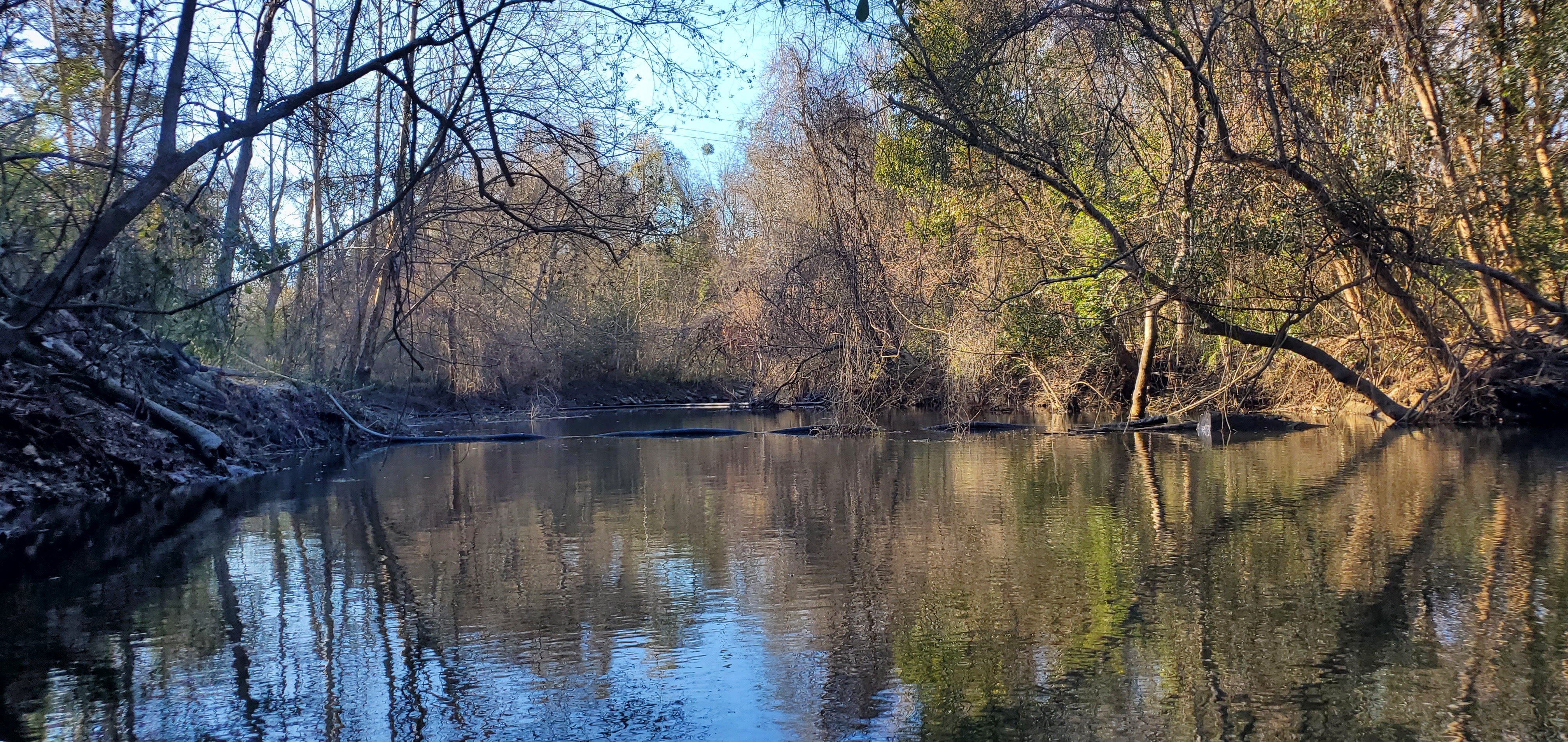 Two booms downstream, 16:33:01, 30.8624078, -83.3183321