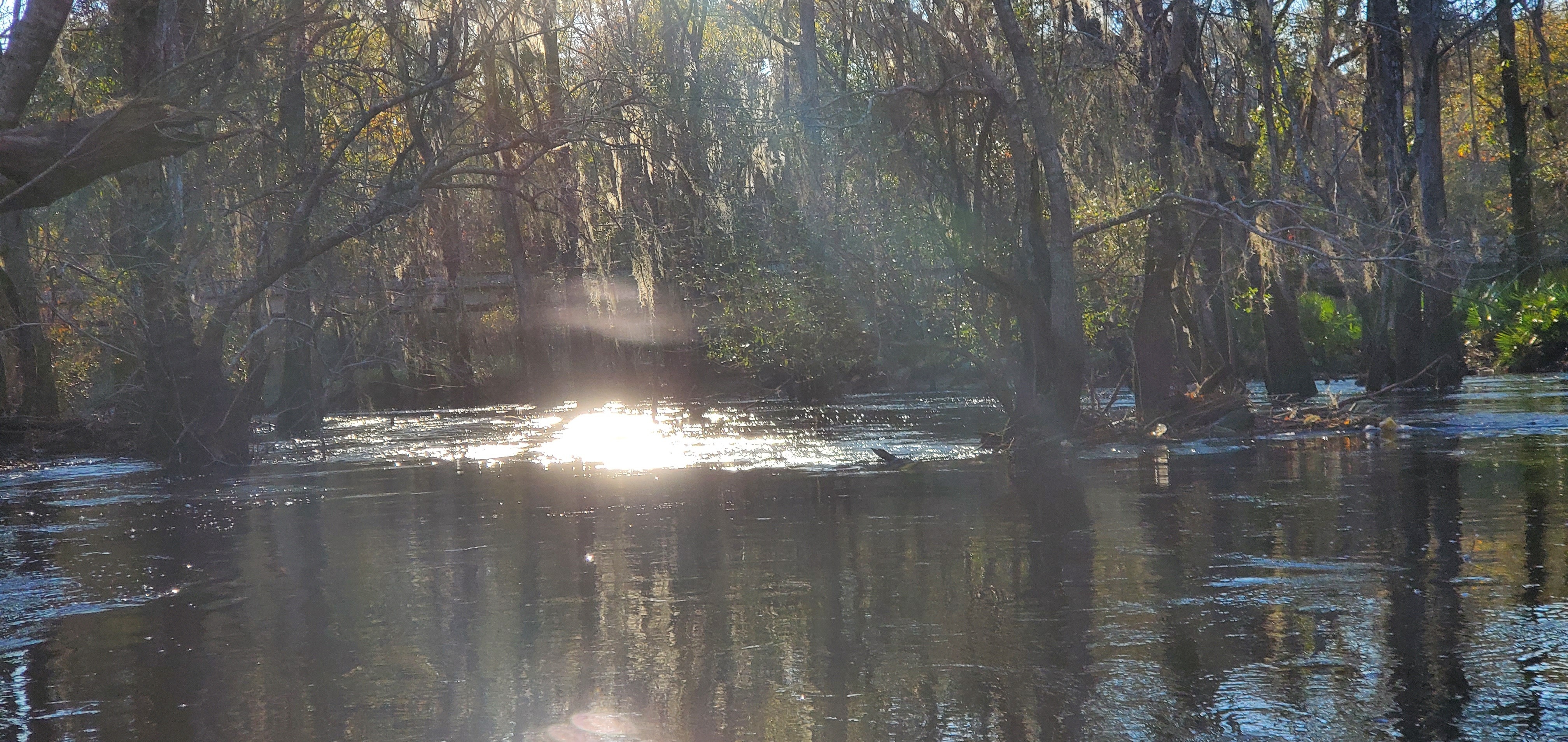 With trash middle of Withlacoochee River, 16:46:08, 30.8639550, -83.3208699