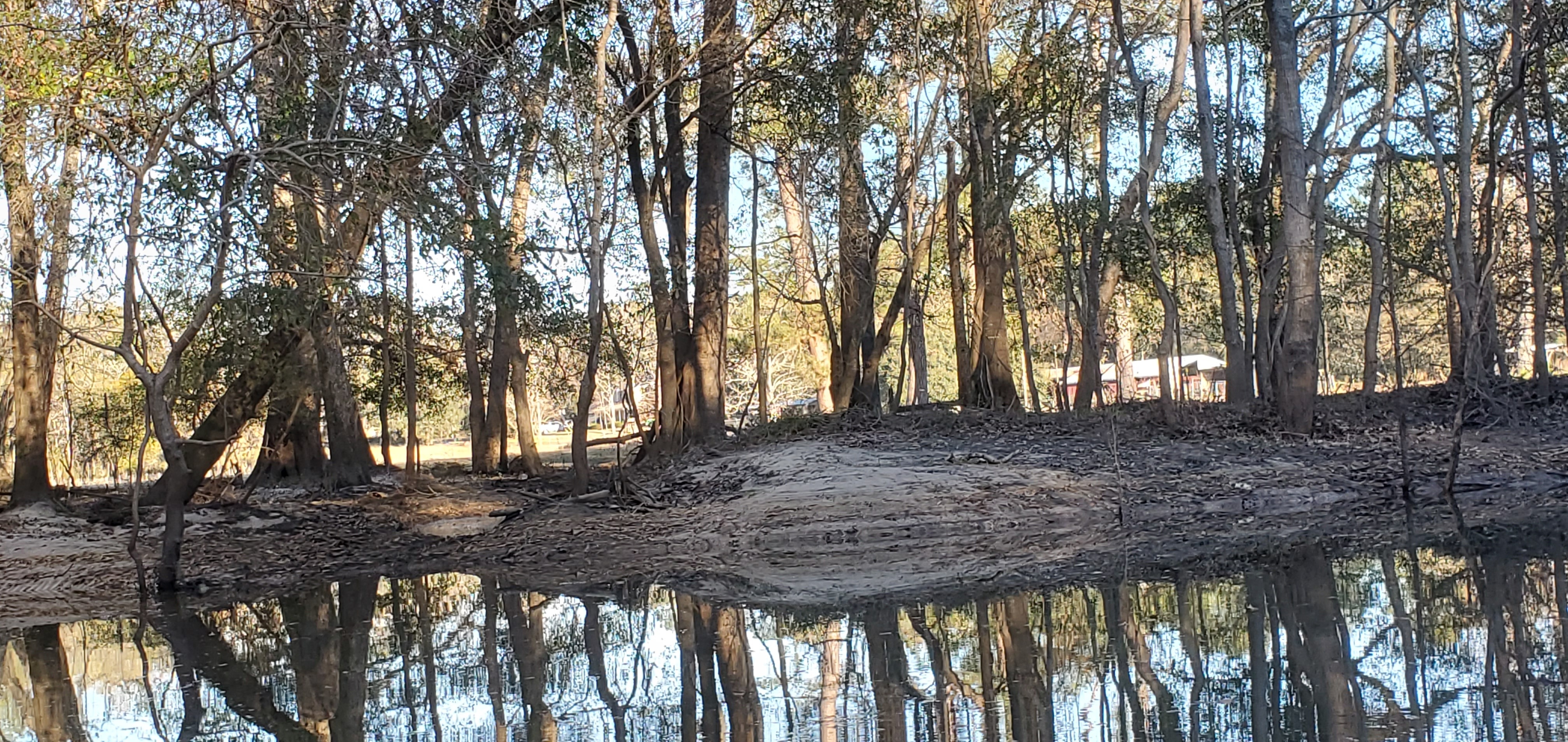 That shore was under water a week ago, 16:49:54, 30.8640457, -83.3202976