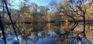 [Wide flowing Withlacoochee River, 16:45:20, 30.8639161, -83.3204645]