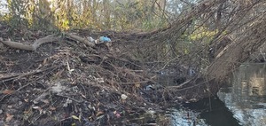 [Trash at all water levels, 16:52:18, 30.8633283, -83.3194494]