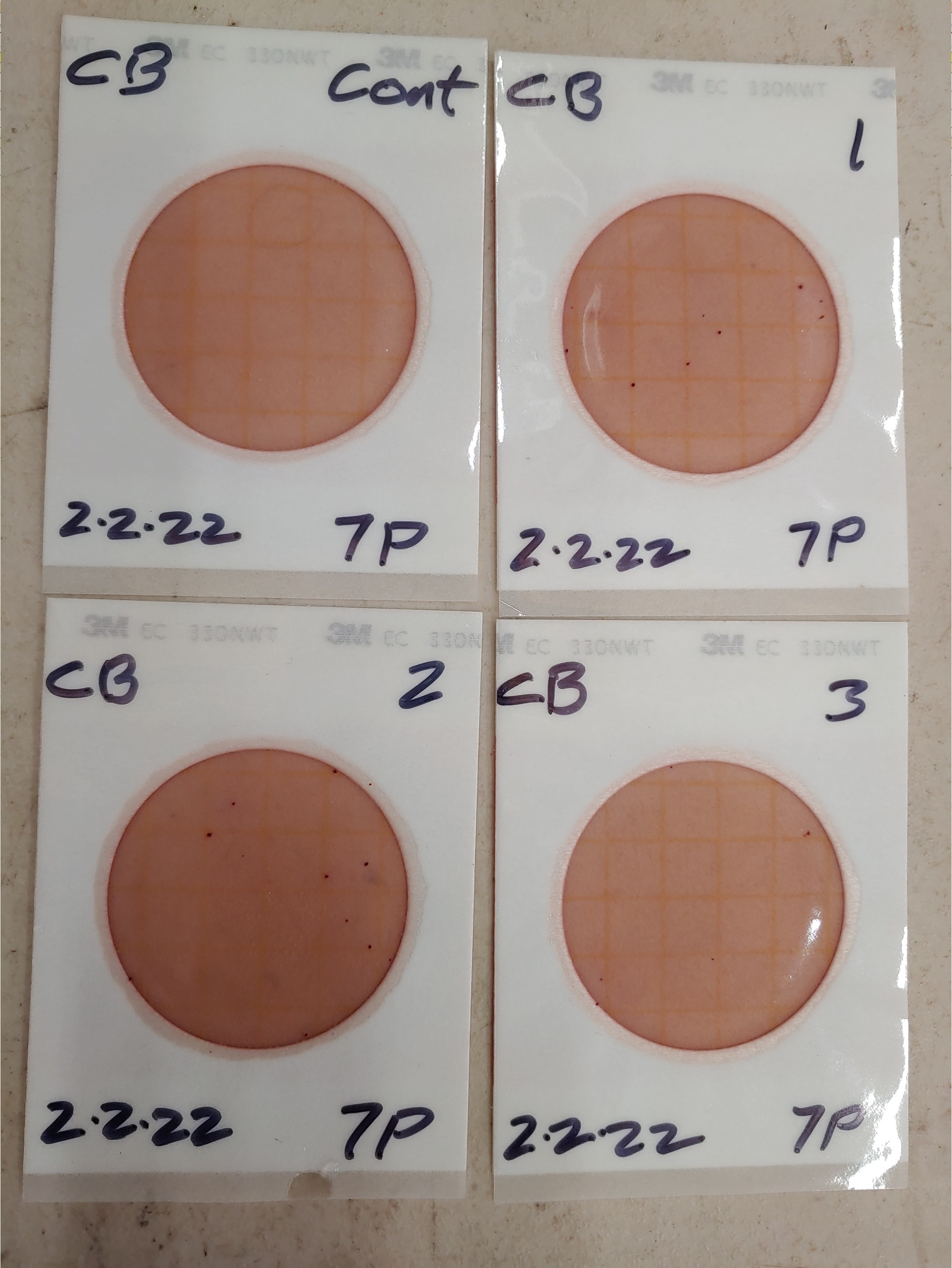 Plates, Cleary Bluff 2022-02-02