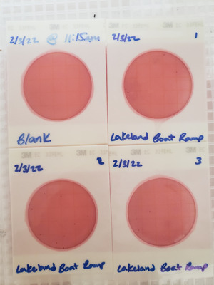 [Plates, Lakeland Boat Ramp 2022-02-03]