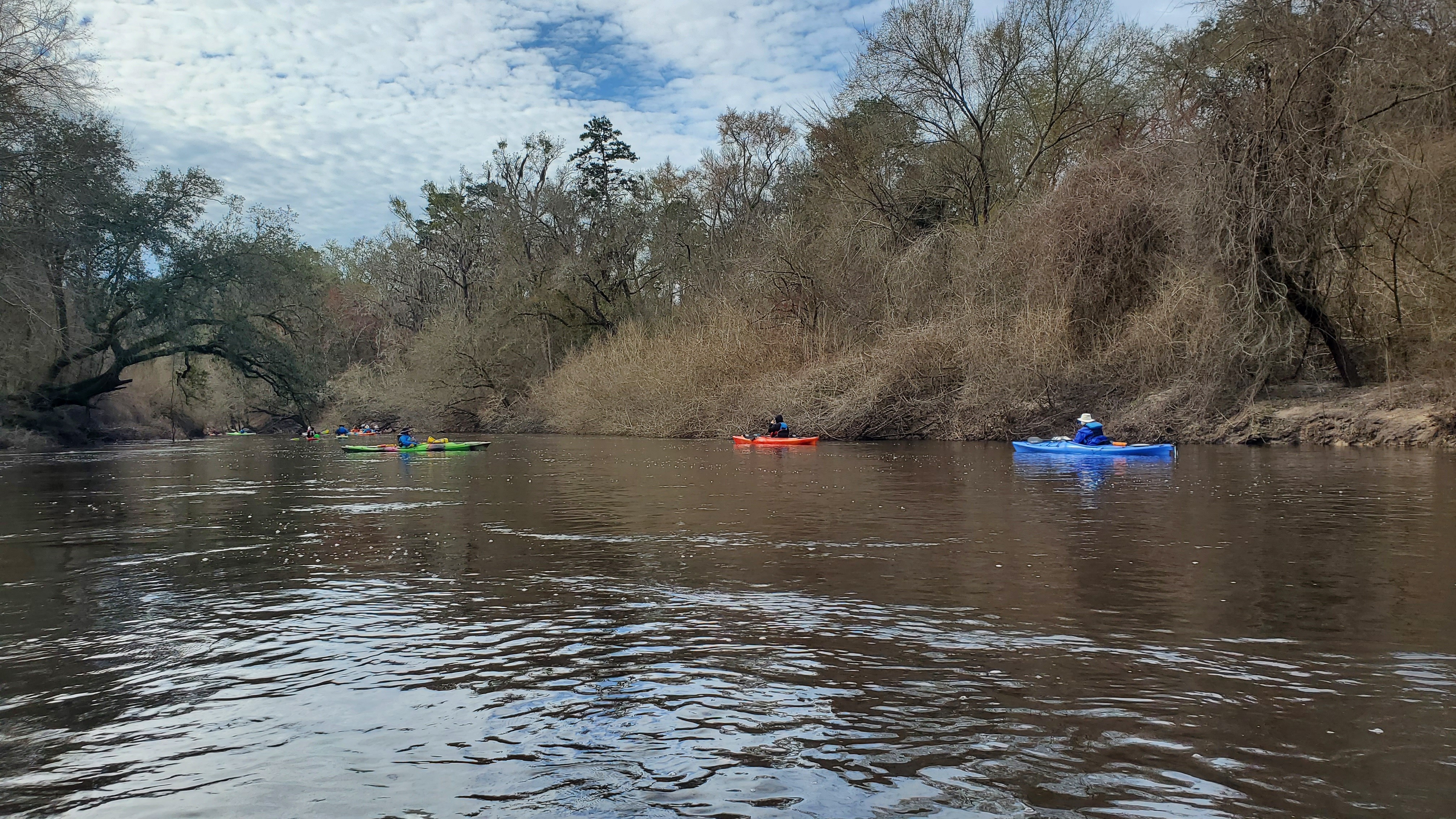 Oak bow 102611, 10:26:11, 30.5275897, -83.0383804