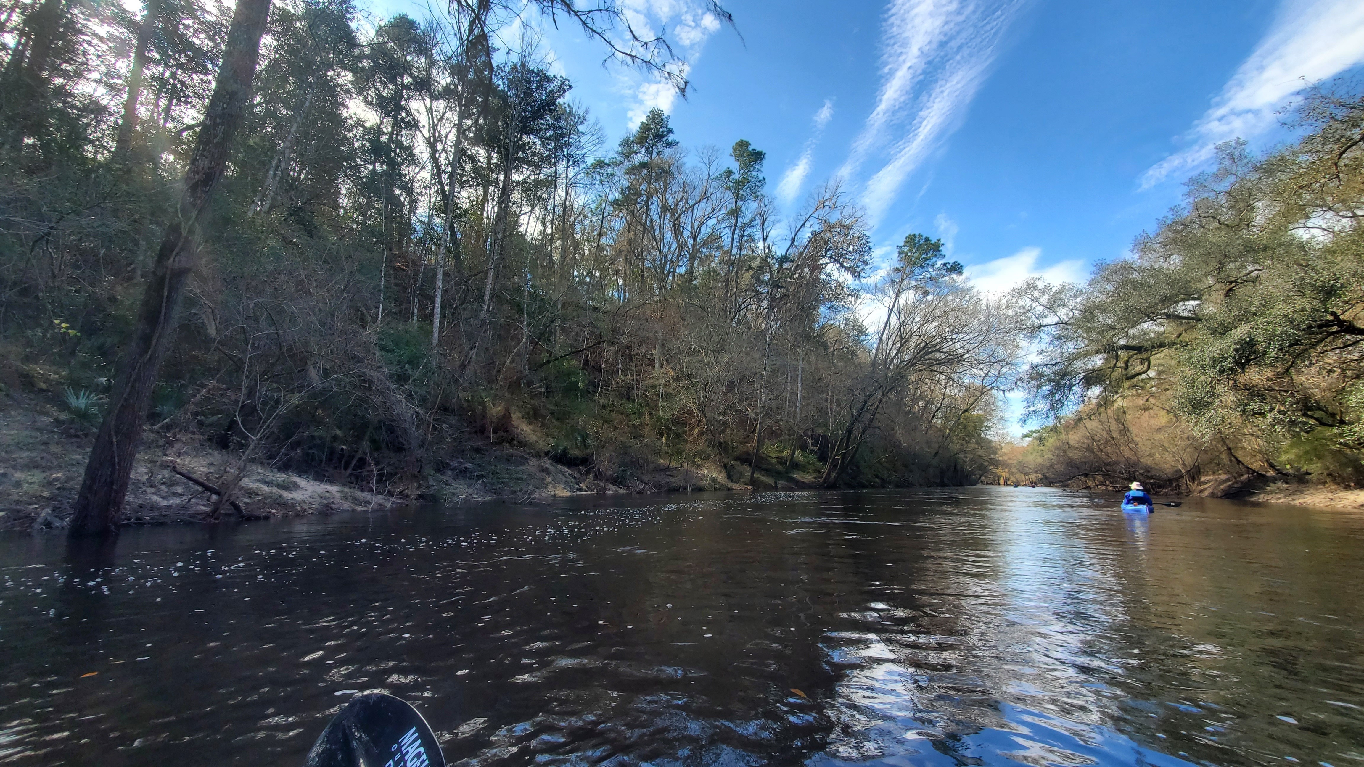 High bluff on straight stretch, left (east) bank, 11:30:34, 30.4897573, -83.0495742