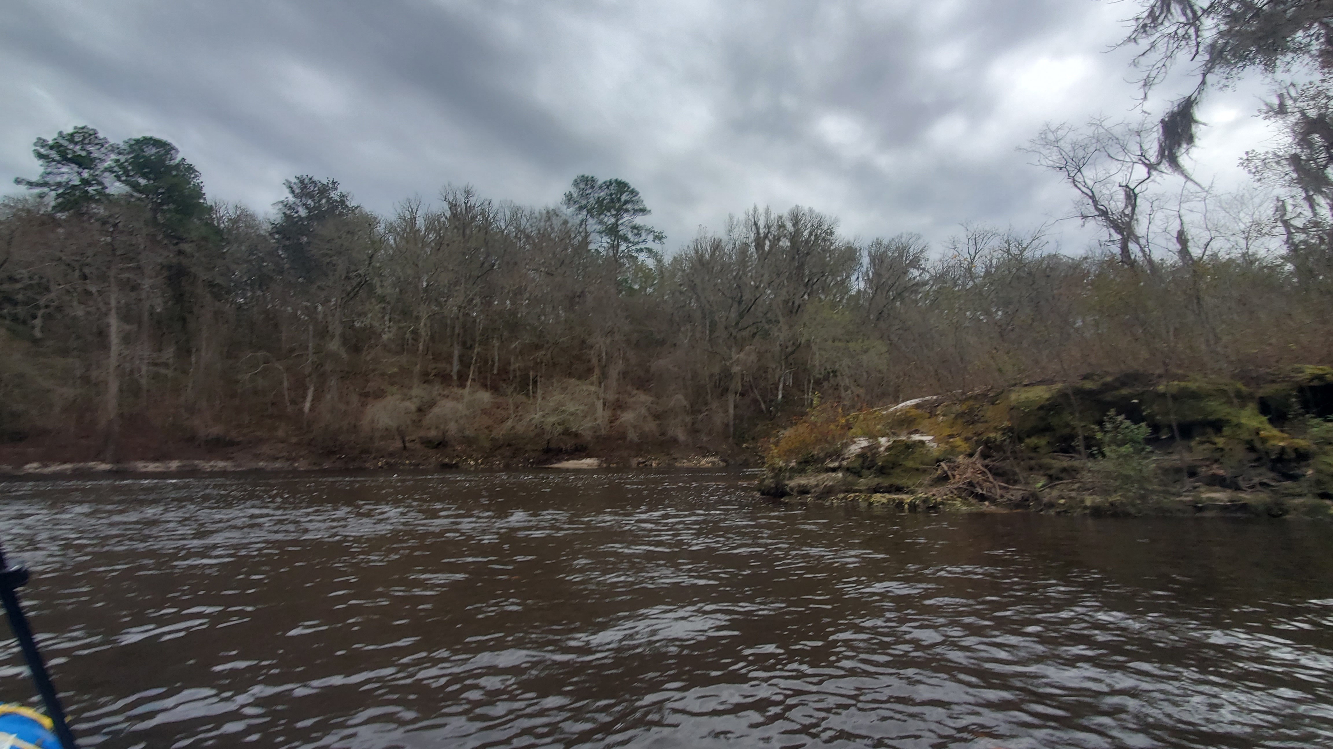 Alapaha River Confluence, right (south) bank, 13:58:45, 30.4368789, -83.0970814