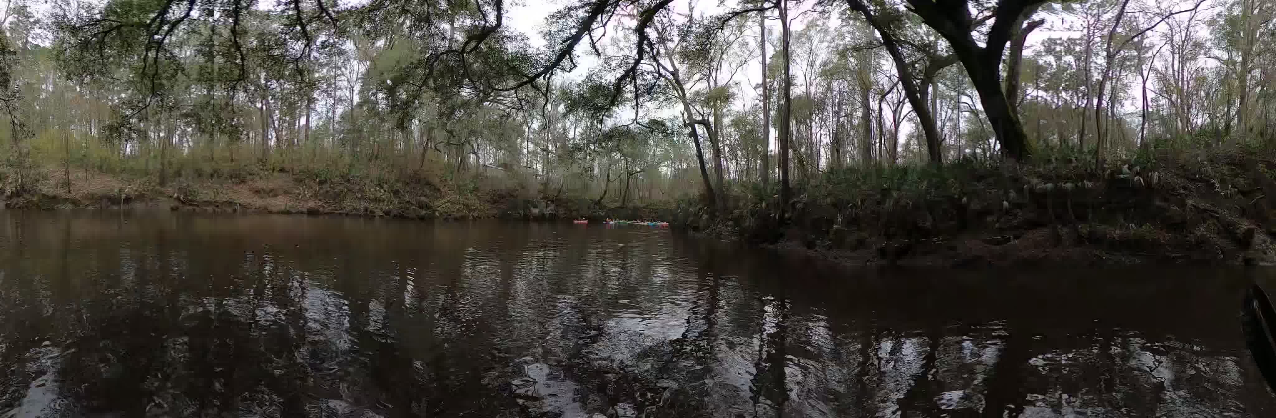 Run to Alapaha River Rise