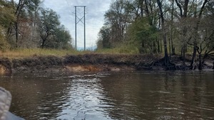 [Jasper-Greenville Power Line, east (left) bank, Alapaha River, 10:56:30, 30.5086914, -83.0425654]