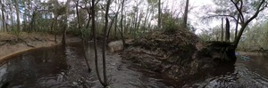 [Inside the Little Alapaha River, 30.5013830, -83.038]