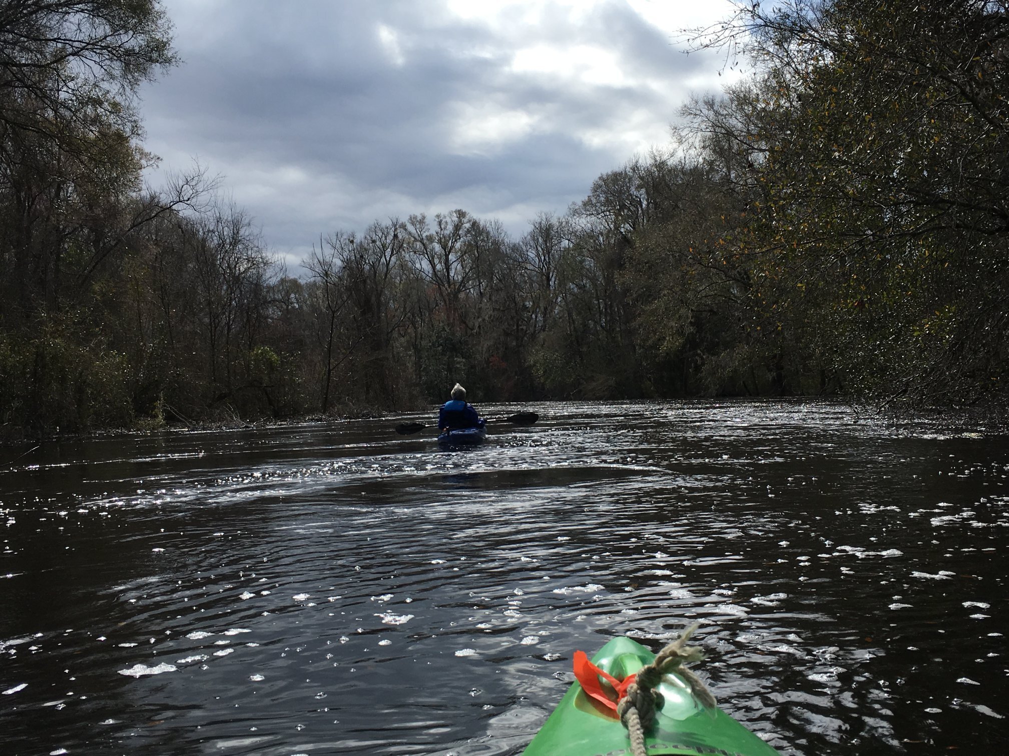 Alapaha River Scouting, 2019-02-09