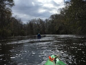 [Alapaha River Scouting, 2019-02-09]