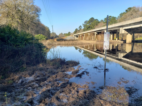 [Hagan Bridge Landing, Withlacoochee River @ GA 122 2022-02-10]