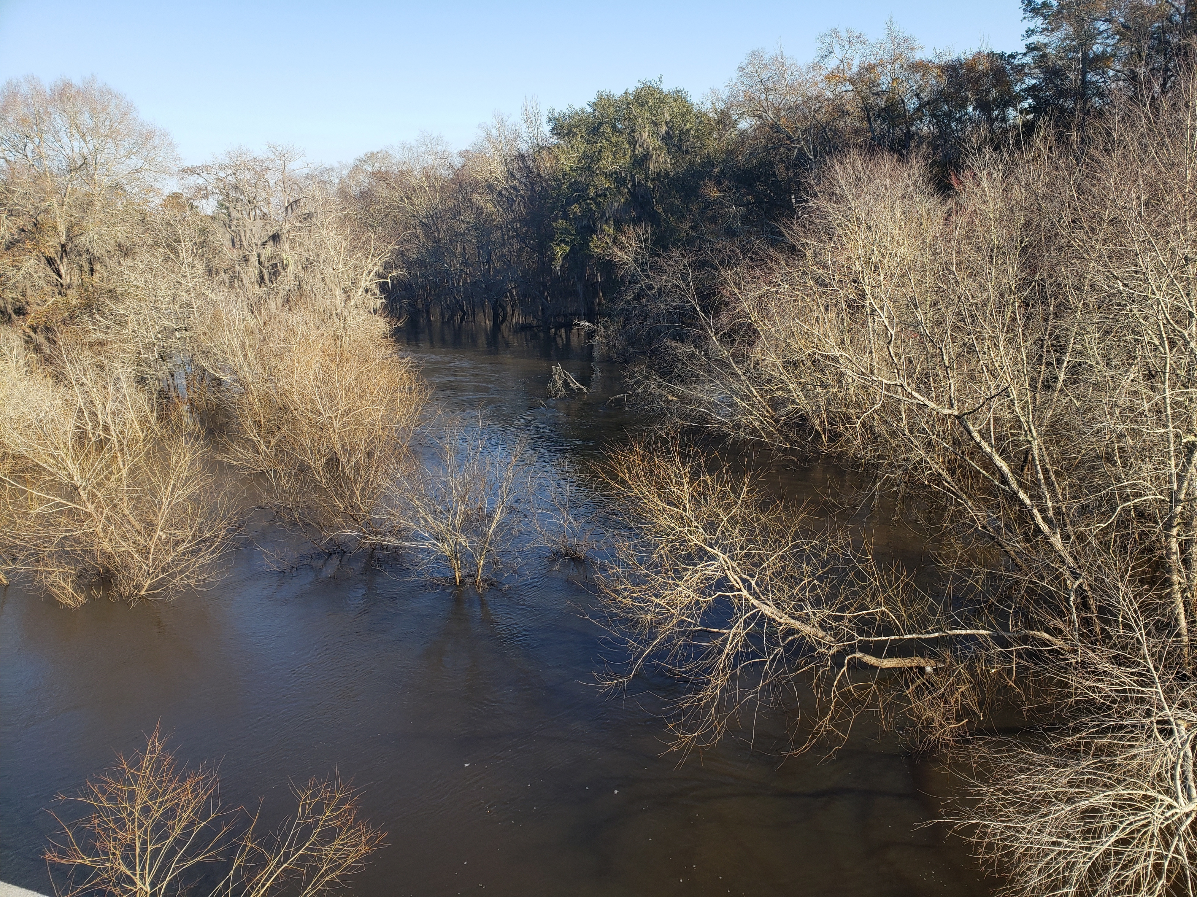 Little River at Folsom Bridge Landing @ GA 122 2022-02-10