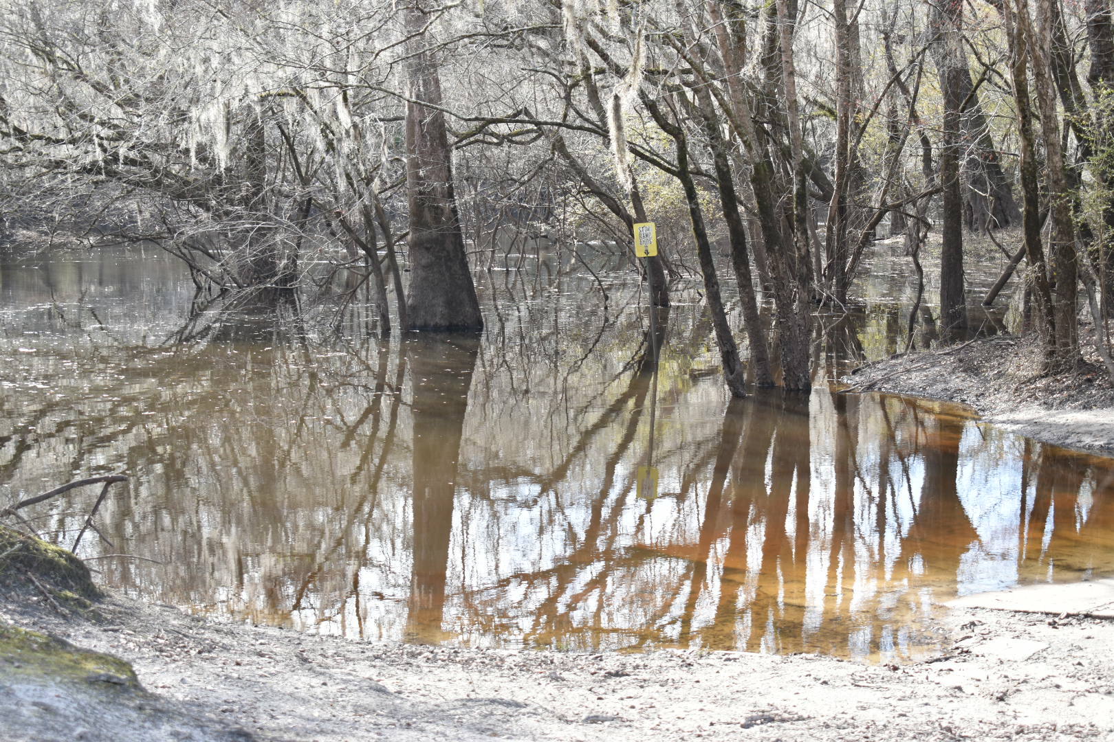 Knights Ferry Boat Ramp, Withlacoochee River 2022-02-10