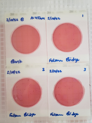 [Plates, Folsom Bridge Landing 2022-02-10]