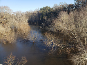 [Little River at Folsom Bridge Landing @ GA 122 2022-02-10]