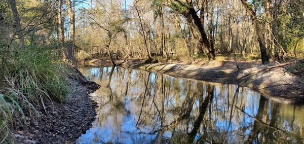 Downstream from Salty Snapper Landing, 15:44:46, 30.8620413, -83.3184933