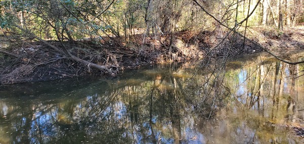 Downstream from Salty Snapper Landing,, 15:44:48, 30.8620413, -83.3184933